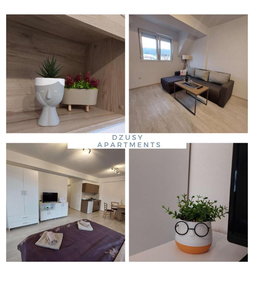 Dzusy Apartments Охрид Экстерьер фото